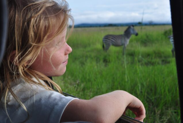 2 Days Drive-in Safari To Mikumi National Park from Zanzibar