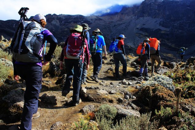 6 Days Climbing Mount Kilimanjaro On The Marangu Route