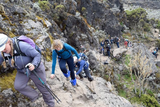 6 Days Climbing Mount Kilimanjaro On The Umbwe Route