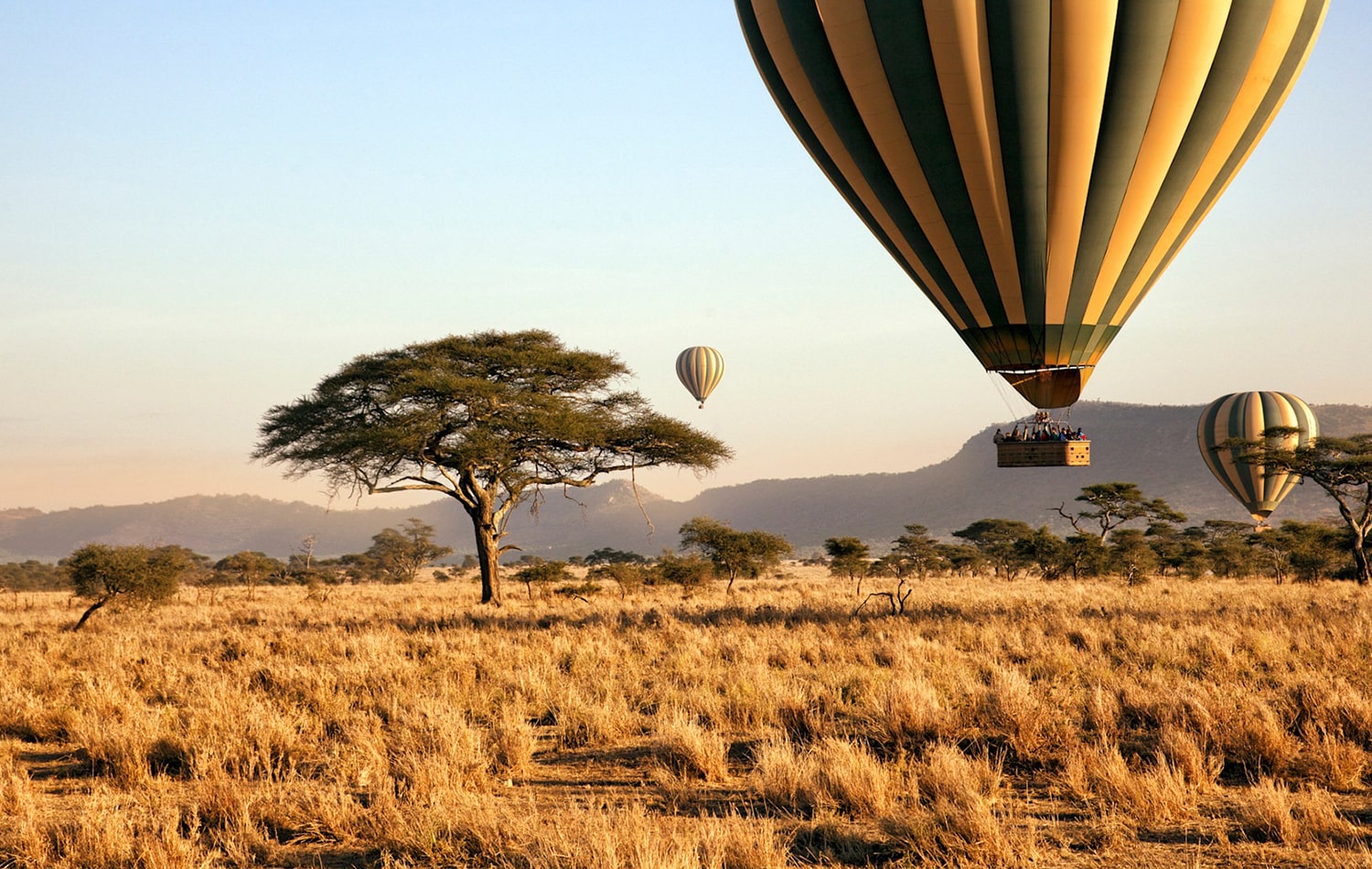 Lake Manyara National Park 02-min