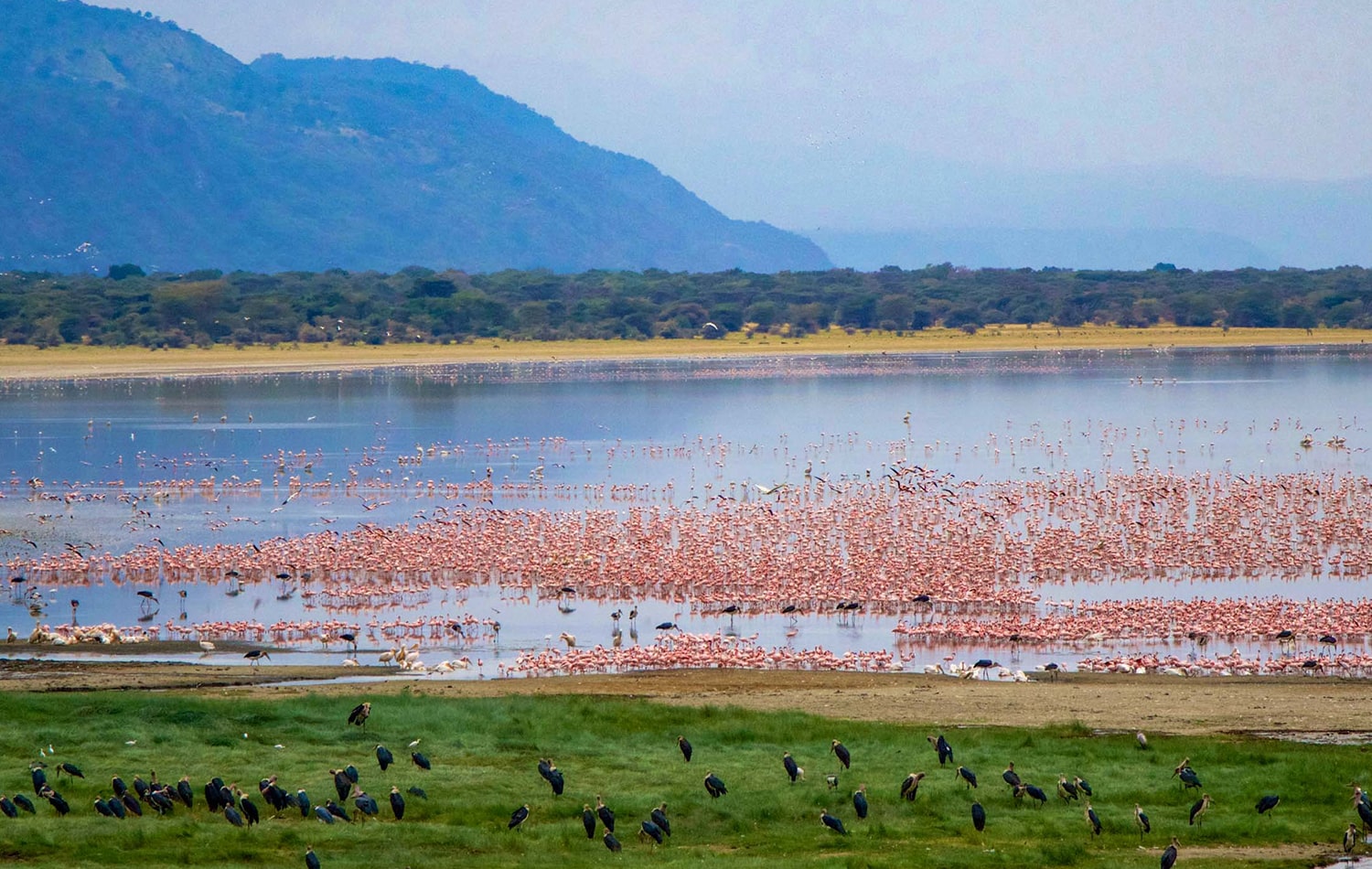 Lake Manyara National Park 05-min