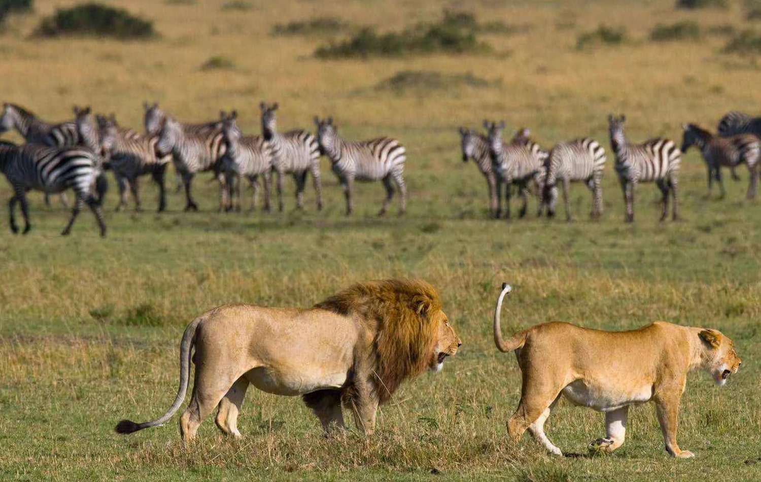 Lake Manyara National Park 07-min