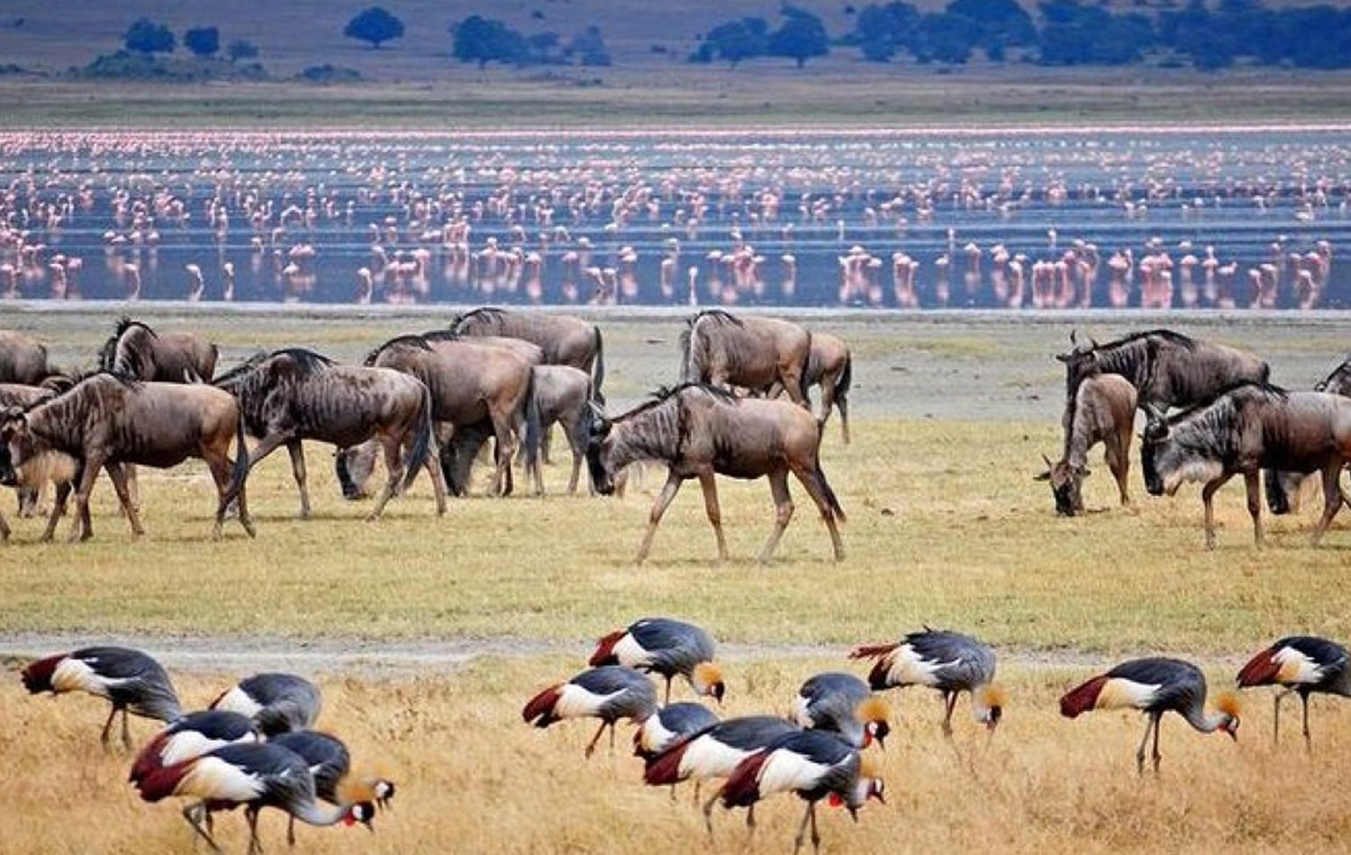 Lake Manyara National Park 08-min