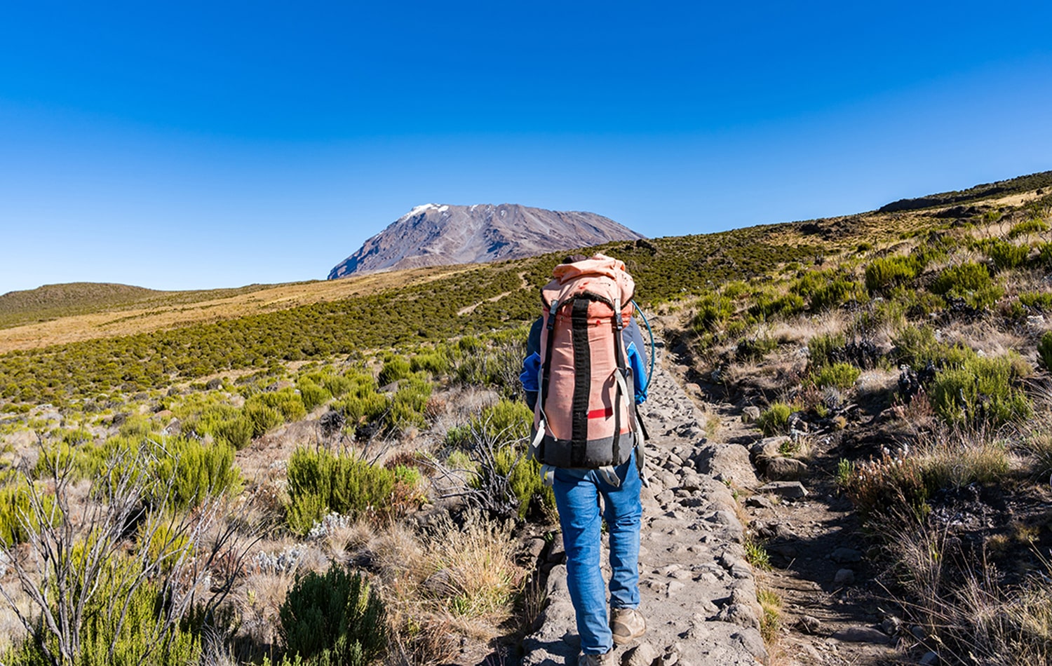 Mount Kilimanjaro 08-min