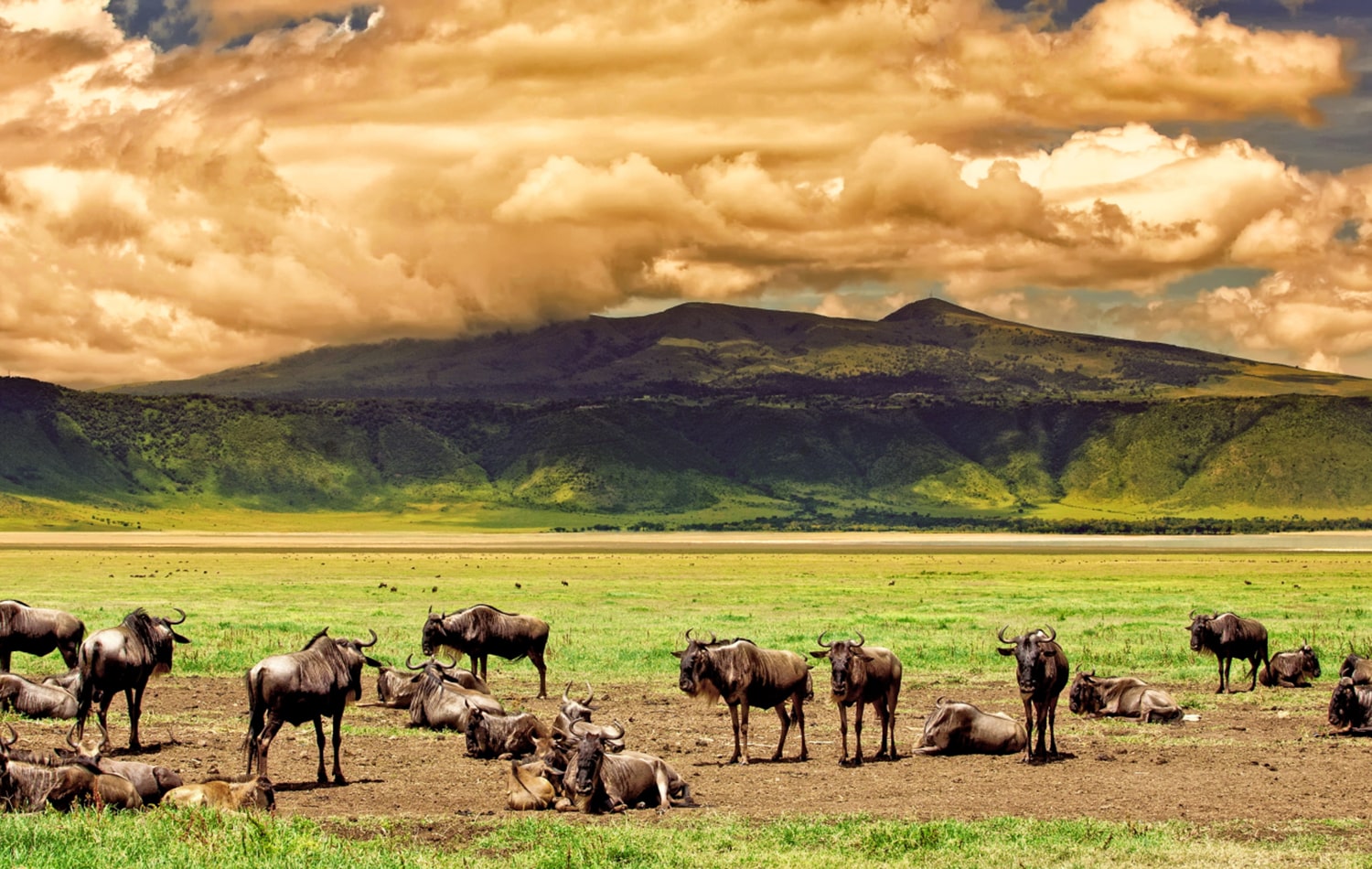 Ngorongoro Crater 03-min