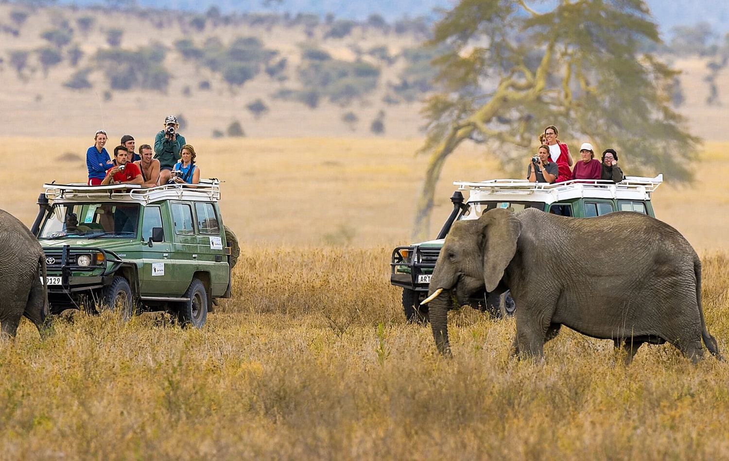 Ngorongoro Crater 05-min