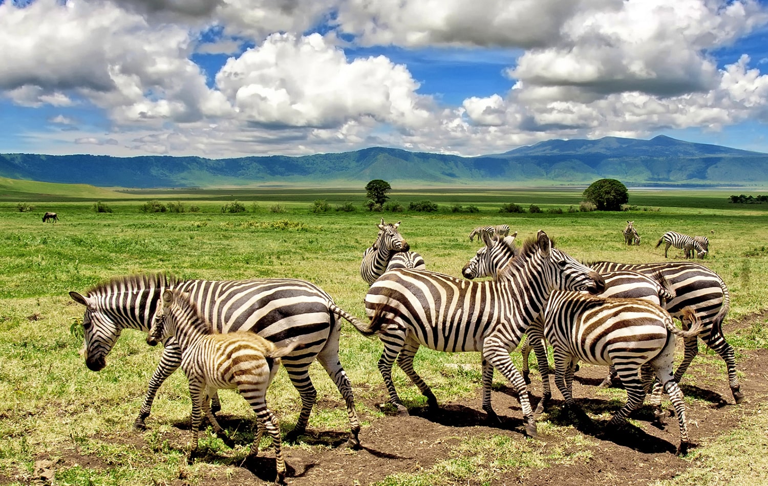 Ngorongoro Crater 07-min