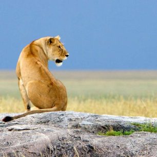 Ngorongoro Conservation Area