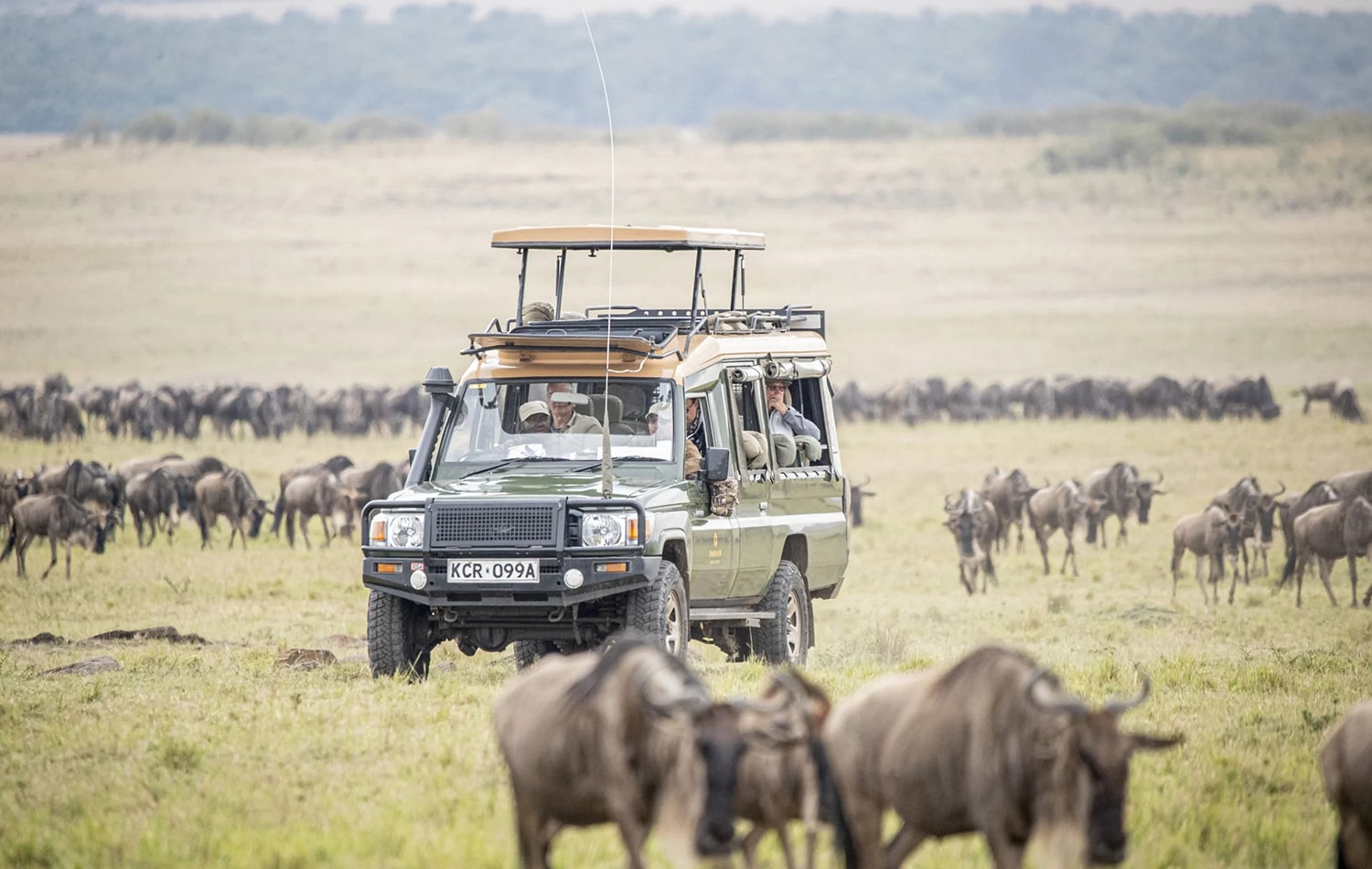 Serengeti National Park 01-min