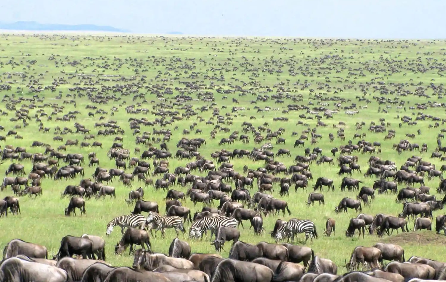 Serengeti National Park 02-min