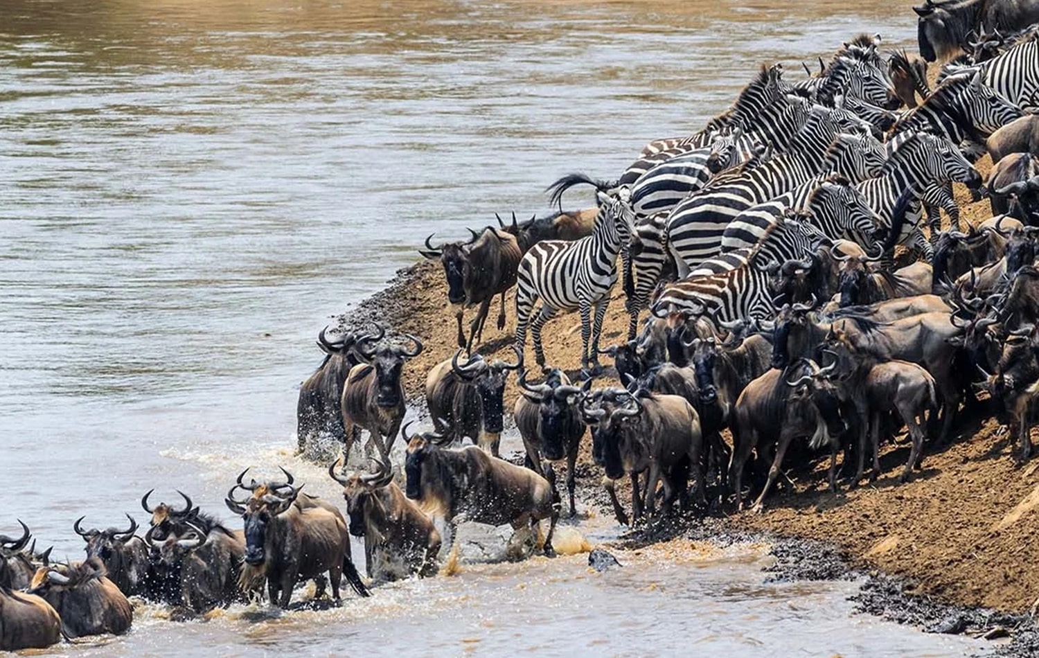 Serengeti National Park 04-min
