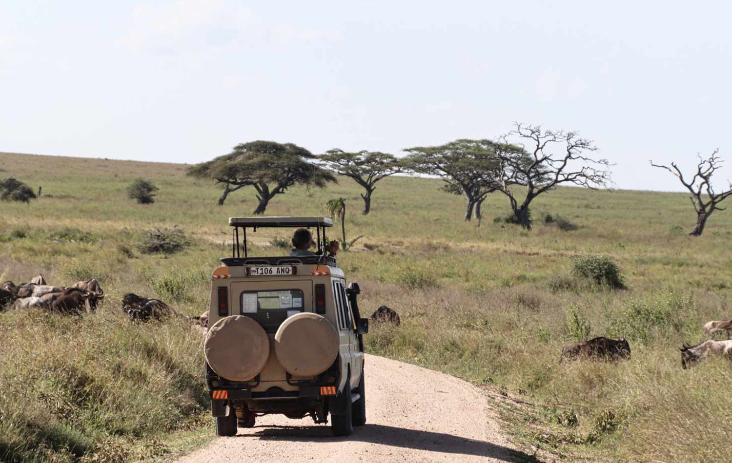Serengeti National Park 06-min
