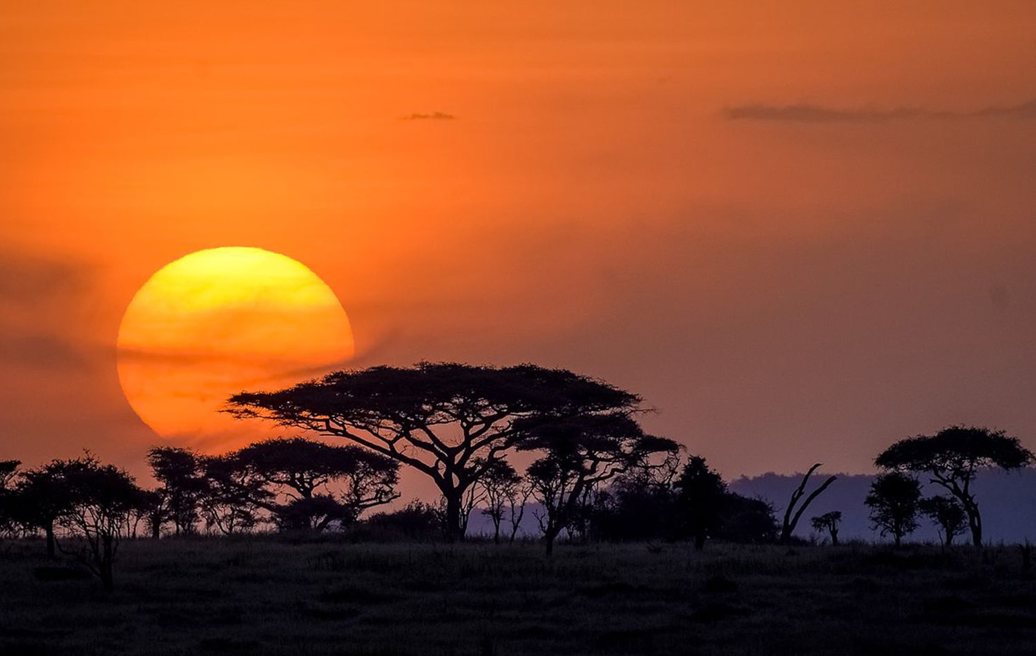 Serengeti National Park 07-min