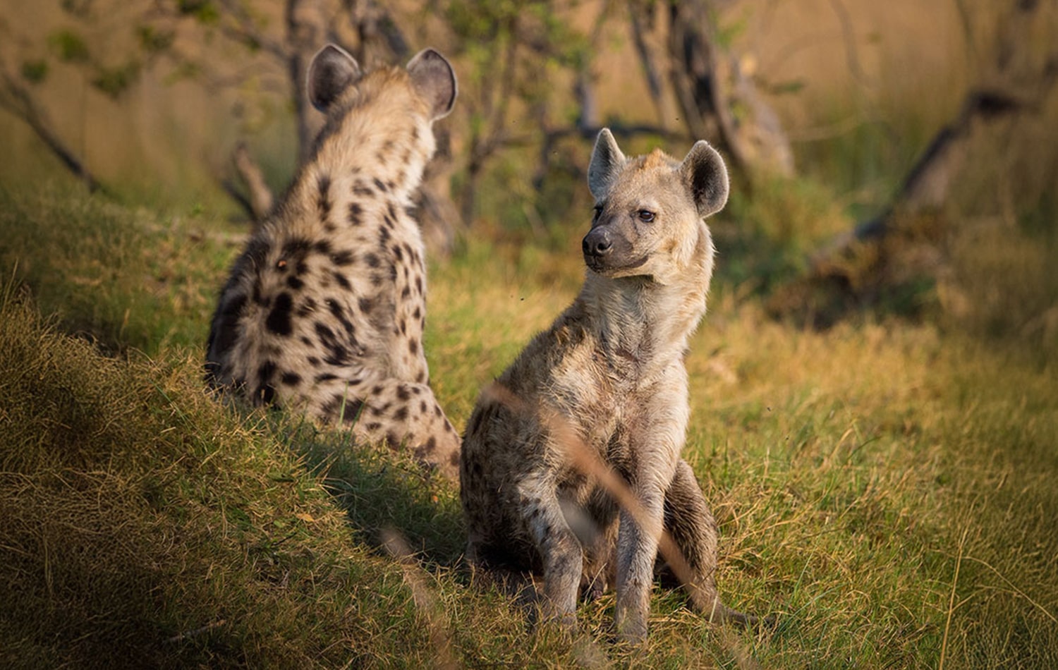 Tarangire National Park 02-min