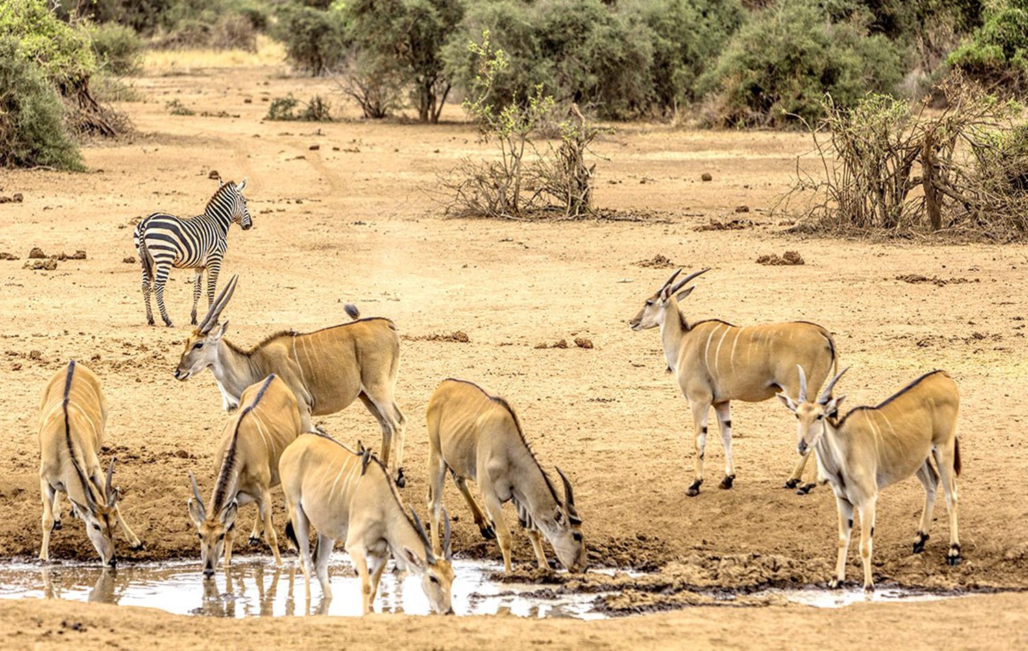 Tarangire National Park 06-min