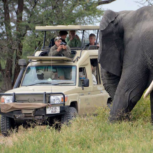 Tarangire National Park