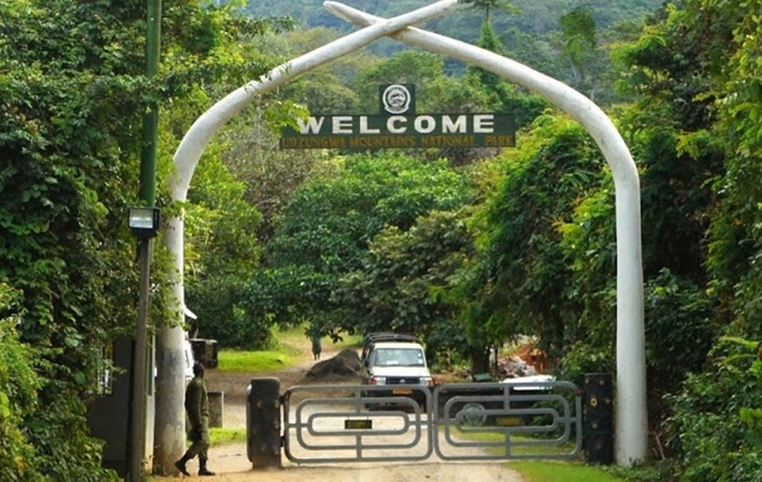 Udzungwa Mountains National Park 02-min
