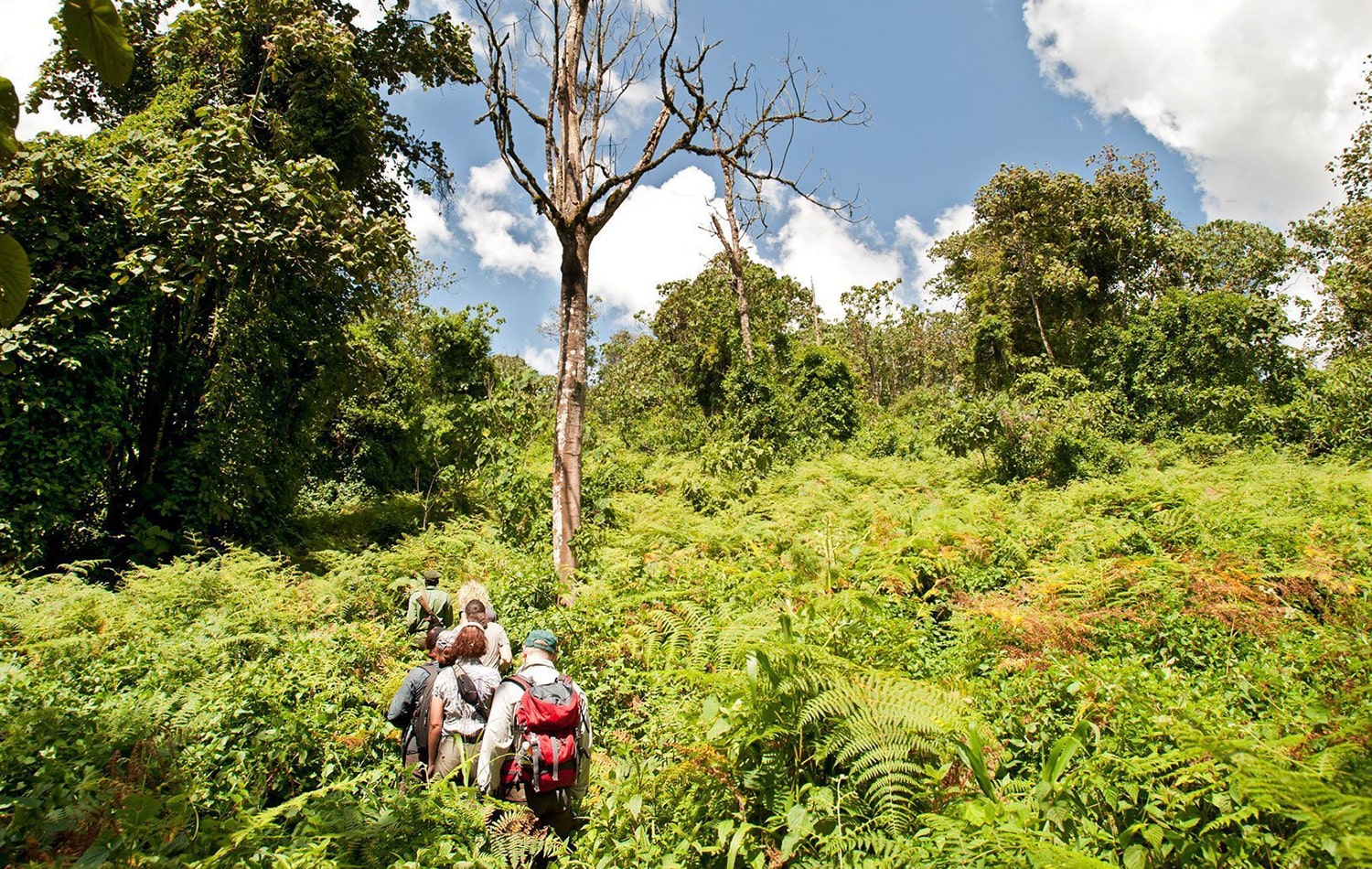 Udzungwa Mountains National Park 03-min