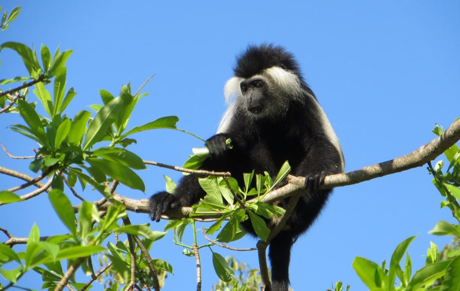 Udzungwa Mountains National Park 06-min